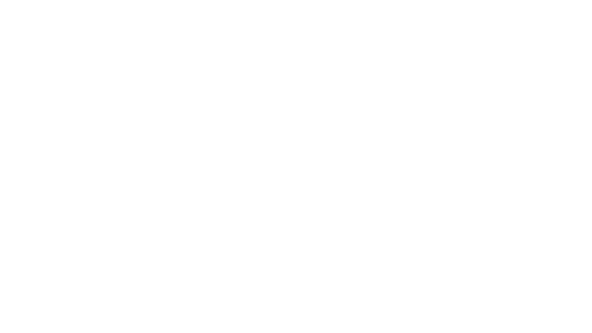 Veterinary Design Studio Logo