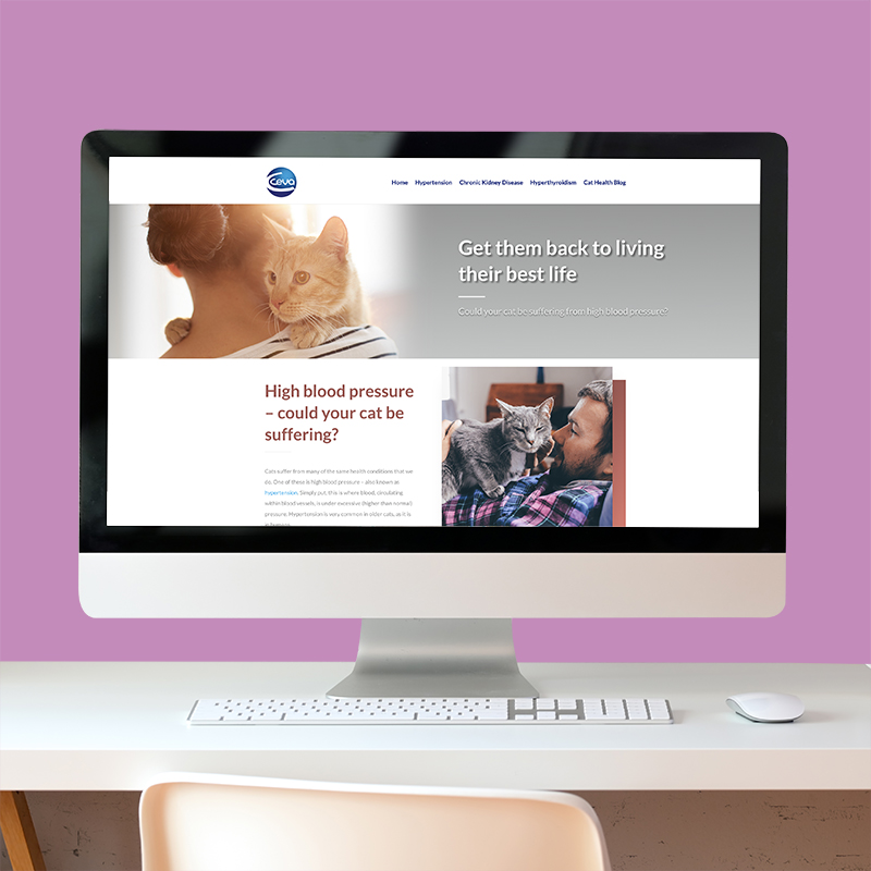 ceva-website Ceva Cat Blood Pressure website