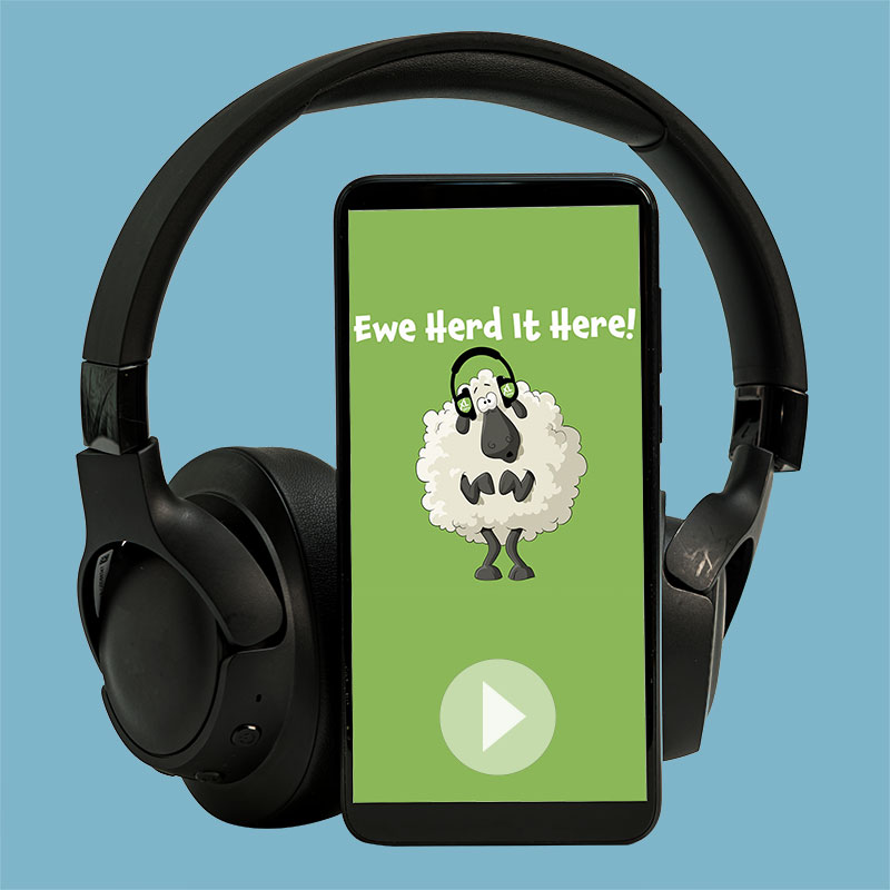 pod-ewe VDS_Print_brochure