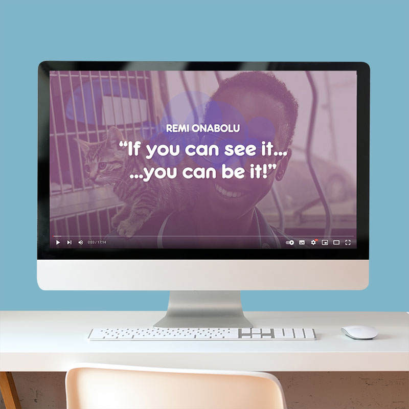 video-jhp VDS_Print_brochure