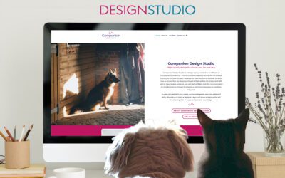 Introducing Companion Design Studio