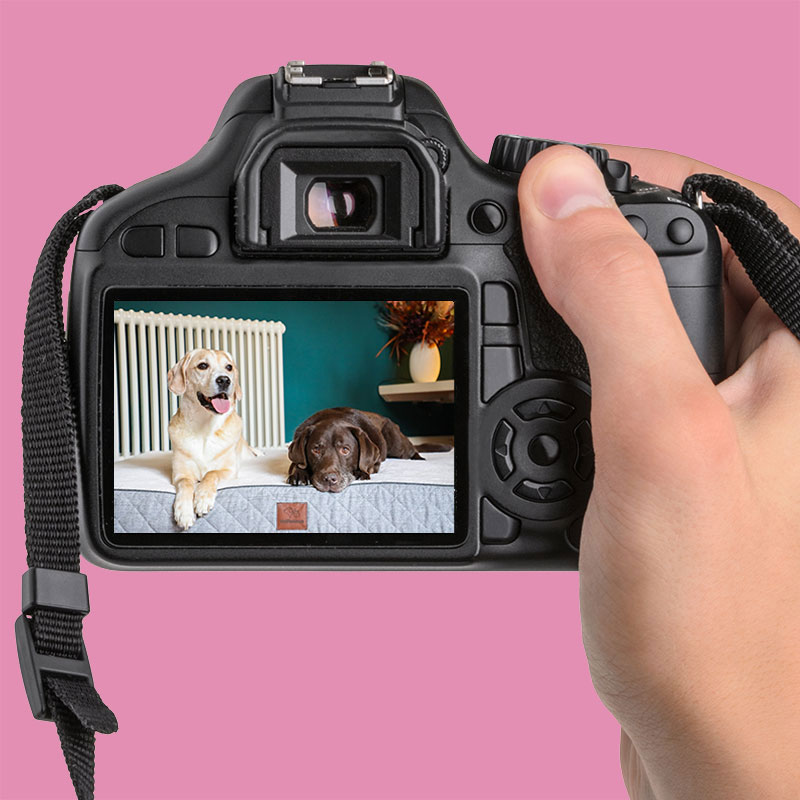 photo-vetrelieve VDS_Print_brochure